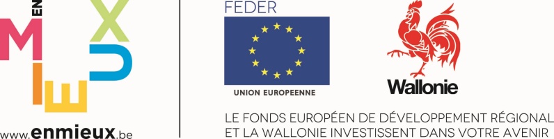 Logo Feder